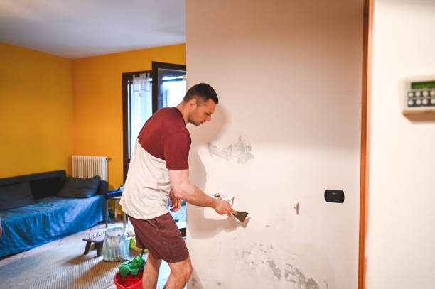 Best Residential Mold Removal  in Shongopovi, AZ