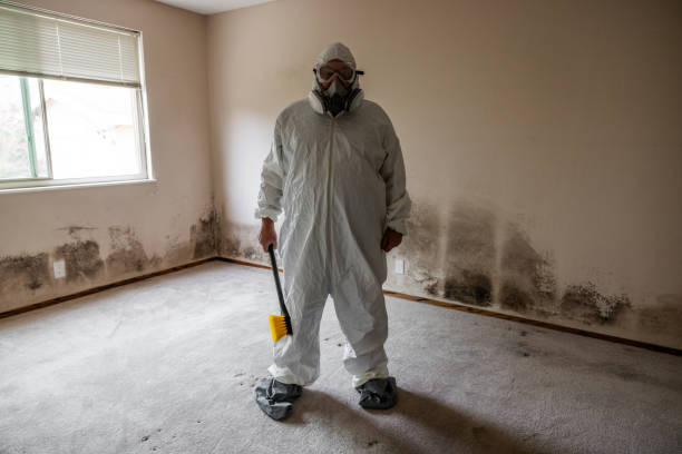 Best Mold Inspection  in Shongopovi, AZ